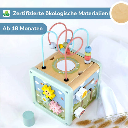 BusyKids Multifunctional Development Cube - 18m+