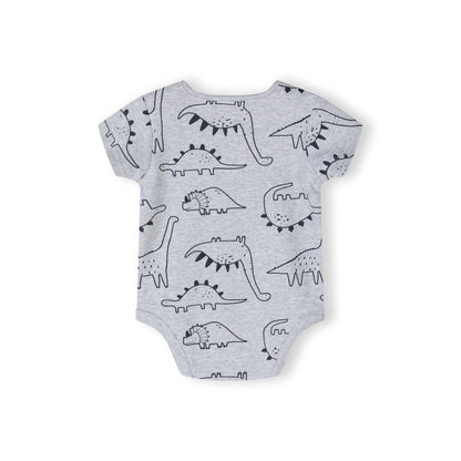 2-pack rompertjes met korte mouwen, dinosaurusprint, muntgrijs: Grijs / 6-9 M (68-74 cm)