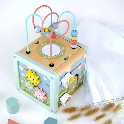BusyKids Multifunctional Development Cube - 18m+