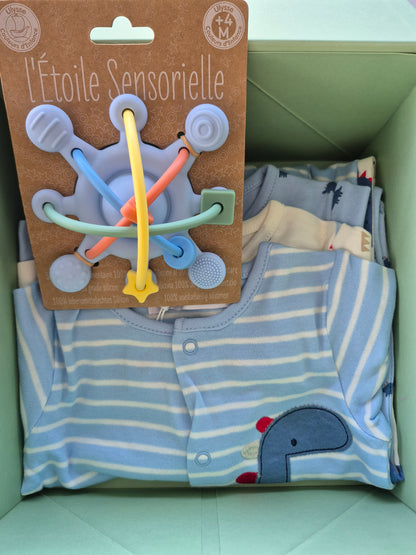 3+ month box boy - Small - blue/dino
