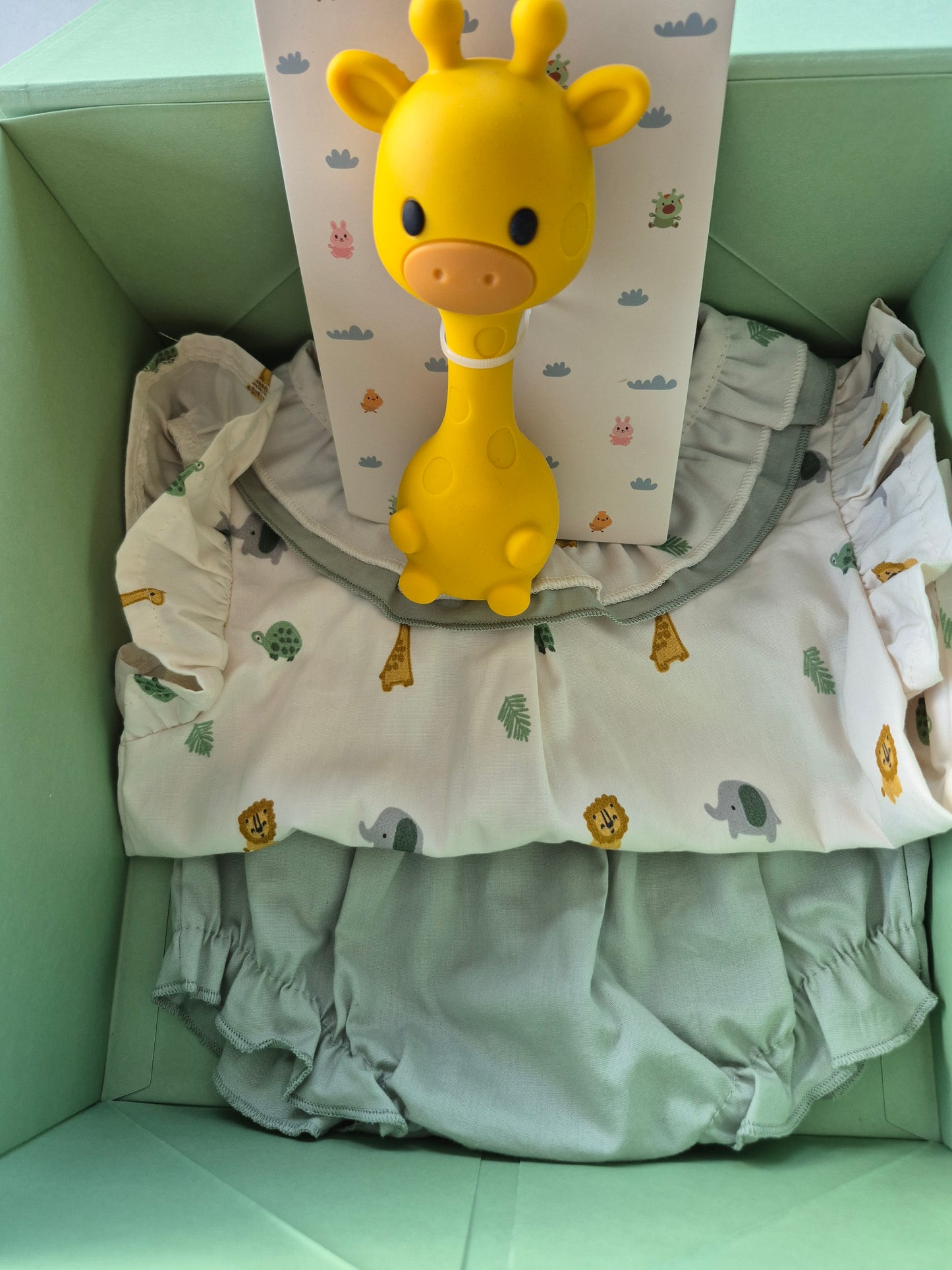 Newborn box Girl - Small - Giraffe